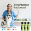 PAWFUME Premium Grooming Spray Dog Spray Deodorizer Perfume For Dogs - Dog Cologne Spray Long Lasting Dog Sprays - Dog Perfume Spray Long Lasting After Bath- Dog deodorizing Spray (Show Dog)