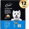 CESAR Small Breed Dry Dog Food Rotisserie Chicken Flavor and Spring Vegetables Garnish, 12 lb. Bag - Image 2
