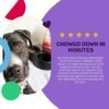 I AND LOVE AND YOU Baked and Saucy Dry Dog Food - Beef + Sweet Potato - Prebiotic + Probiotic, Real Meat, Grain Free, No Fillers, 10.25lb Bag