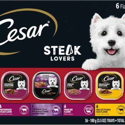 CESAR Adult Soft Wet Dog Food Steak Lovers Variety Pack with Real Meat, (36) 3.5 oz. Trays