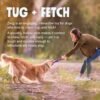 West Paw Zogoflex Echo Zwig Squeezy Dog Fetching Stick – Bouncy, Hollow, Squishy Interactive Toy for Puppies, Large Dogs – Floatable Stick, Lightweight Chewy Toy for Catch/Fetch – 13.75”, Jungle Green - Image 4