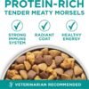 Purina One Plus Digestive Health Formula Dry Dog Food Natural with Added Vitamins, Minerals and Nutrients - 31.1 Lb. Bag - Image 2