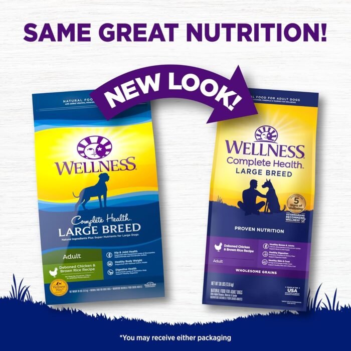 81fySBWwJ3L._AC_SL1500_.jpg Wellness Complete Health Large Breed Adult Dry Dog Food, No Corn or Wheat, Made in USA with Real Meat, Natural Ingredients, Glucosamine, Probiotics & Omega Fatty Acids (30-Pound Bag)