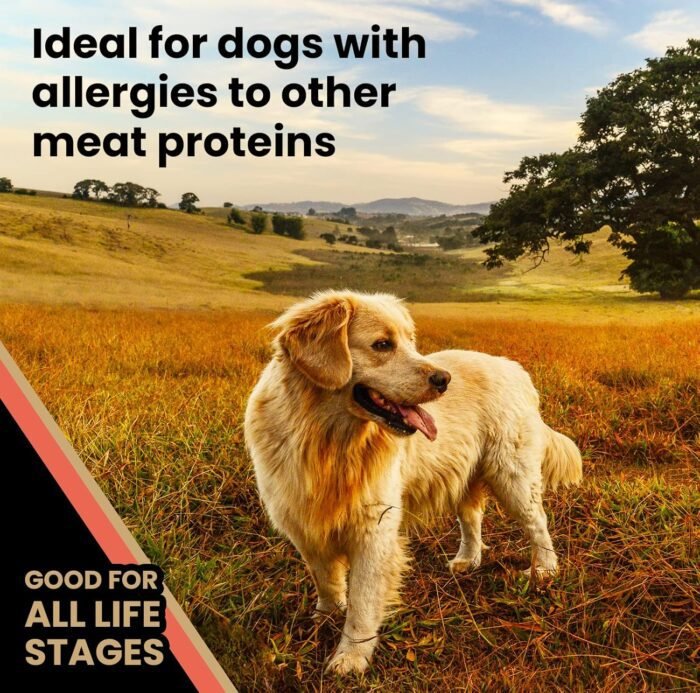 81gNxlzi5aL._AC_SL1500_.jpg Victor Super Premium Dog Food – Grain Free Yukon River Canine – for Dogs of All Life Stages – High Protein Dry Dog Food for All Normally Active Dogs, 15 lb