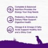 Wellness Complete Health Dry Dog Food with Grains, Natural Ingredients, Made in USA with Real Meat, All Breeds, For Adult Dogs (Chicken & Oatmeal, 15-Pound Bag) - Image 5