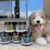 Googipet Premium 10 in 1 Dog Vitamins Multivitamin Chewable with Probiotics for Gut Health, Dog Vitamins and Supplements w/Vitamin C & Glucosamine for Joint Support (Chicken & Vegetable Flavor) - Image 9