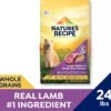 Nature′s Recipe Lamb, Barley & Brown Rice Recipe Dry Dog Food, 24 lb. Bag - Image 2