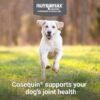 Cosequin Joint Health Supplement for Dogs - With Glucosamine, Chondroitin, MSM, and Omega-3's, 120 Soft Chews - Image 3