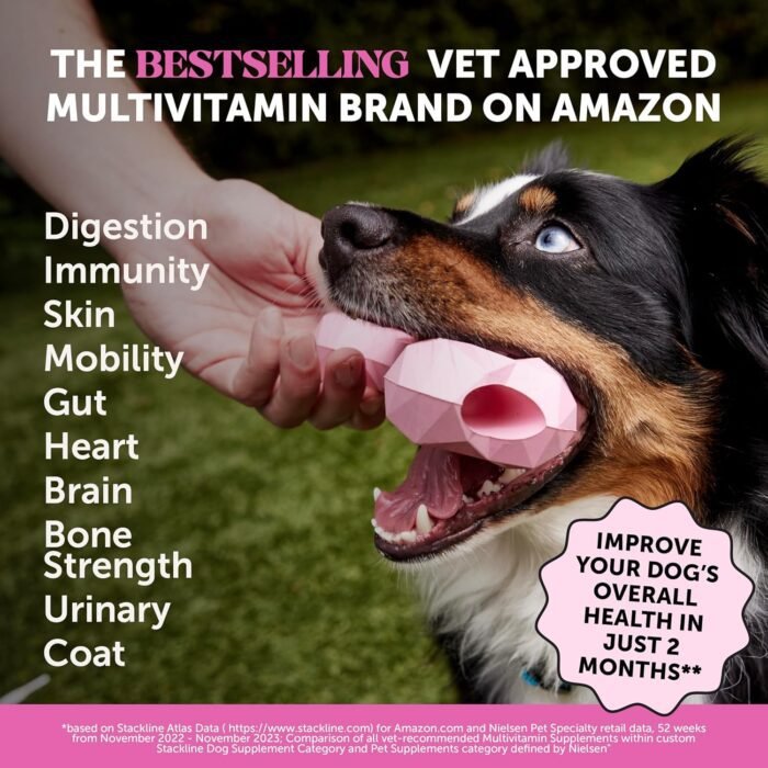 Pet Honesty Multivitamin Dog Supplement, Glucosamine Chondroitin for Dogs, Probiotics, Omega Fish Oil, Dog Supplements & Vitamins, Dog Vitamins for Skin and Coat Allergies, (Chicken 90 ct)