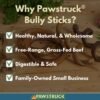 81ju2pk9QfL._AC_SL1500_.jpg Pawstruck All-Natural 4" Bully Stick Rings for Dogs - Rawhide-Free, 100% Beef, Single Ingredient Dental Chew Bones - Fully Digestible, Low Odor - 10 Count - Packaging May Vary