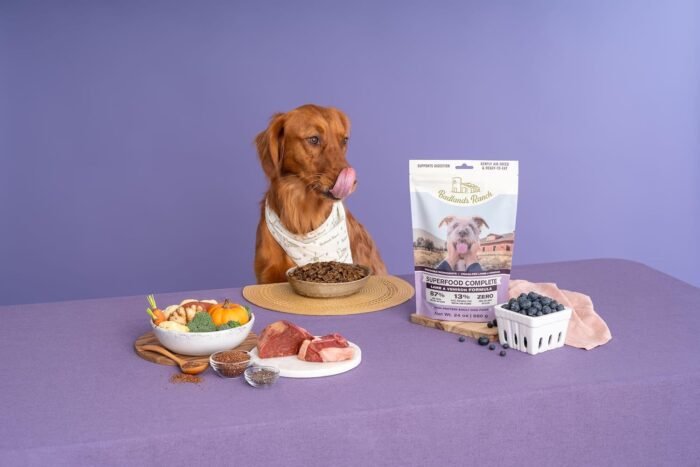 Superfood Complete, Air-Dried Adult Dog Food - High Protein, Zero Fillers, Superfood Nutrition by Katherine Heigl (24 oz, Lamb & Venison)