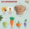 Nocciola Small Dog Toys- 15 Pack Grocery Bag Fruits and Veggies Dog Squeaky Toys, Small Puppy Toys to Keep Them Busy, Durable Plush Toys for Medium Dogs Aggressive Chewers, Cognitive Toys for Boredom