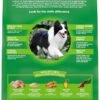 IAMS Proactive Health Minichunks Adult Dry Dog Food with Real Chicken and Whole Grains, 7 lb. Bag