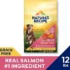Nature’s Recipe Grain Free Salmon, Sweet Potato & Pumpkin Recipe Dry Dog Food, 12 lb. Bag - Image 3
