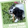 Nature Gnaws Extra Thin Bully Sticks for Small Dogs 5-6" (10 Count) - Long Lasting for Light Chewers and Puppies - Natural Beef Dog Chew Bones - Image 7