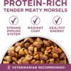 Purina ONE Plus Healthy Puppy Formula High Protein Natural Dry Puppy Food with added vitamins, minerals and nutrients - 16.5 lb. Bag - Image 2