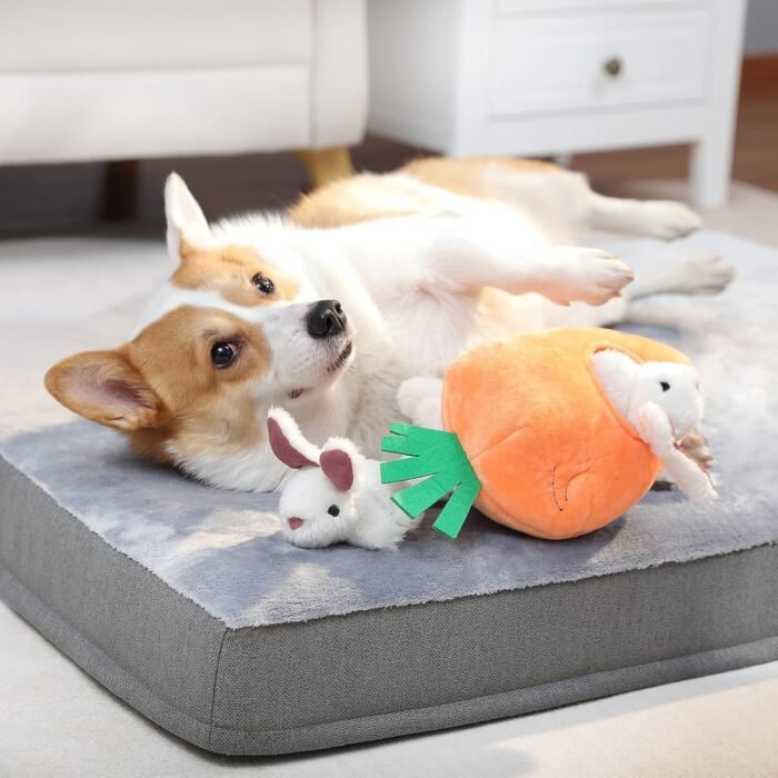 Amazon Basics Hide and Seek Squeaky Dog Plush Toy, Rabbit and Carrot, Orange and White, 5 Pack