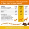 Zesty Paws Cranberry Supplement for Dogs - Bladder Control for Dogs - Urinary Tract Support - Cranberry Chews - Immune & Gut Support - Chicken - 90 Count - Image 4