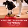 Purina ONE Dry Dog Food Lamb and Rice Formula - 16.5 lb. Bag - Image 6