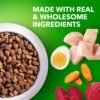 IAMS Small & Toy Breed Adult Dry Dog Food for Small Dogs with Real Chicken, 15 lb. Bag