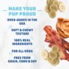 Shameless Pets Soft-Baked Dog Treats, Bananas for Bacon - Natural & Healthy Dog Chews for Skin & Coat Support with Omega 3 & 6 - Dog Biscuits Baked & Made in USA, Free from Grain, Corn & Soy - 1-Pack - Image 2