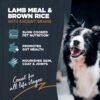 Blackwood Sensitive Skin & Stomach Dry Dog Food, Lamb Meal & Brown Rice with Ancient Grains, 24 Pound Bag with Prebiotics & Probiotics to Promote Gut Health - Image 3