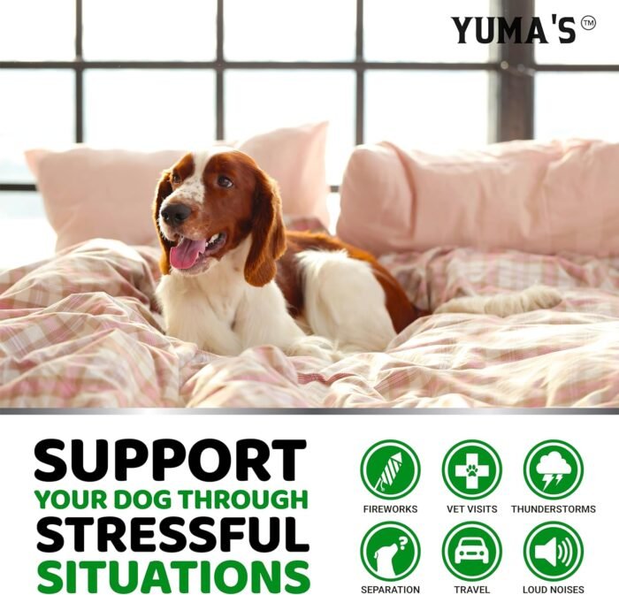 YUMA'S Hemp Calming Chews for Dogs - Advanced Dog Calming Chews - 170 Treats - Anxiety Relief Treats - Hemp Oil - Separation Aid, Stress, Hip and Joint Supplement for Canine Health Support