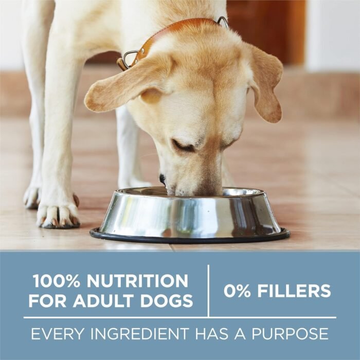 Purina ONE Plus Joint Health Formula Natural With Added Vitamins, Minerals and Nutrients Dry Dog Food - 31.1 lb. Bag