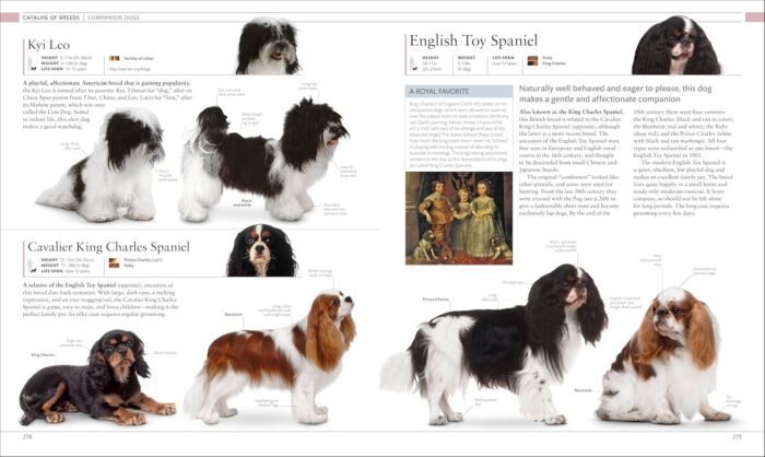 The Dog Encyclopedia (DK Pet Encyclopedias)