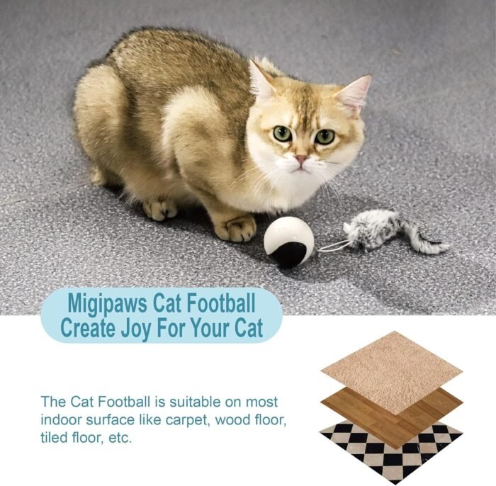Migipaws Interactive Cat Ball Toy Set, Fun Tracker, Automatic Rolling Chase Ball with Fluffy Tail, A Small Mice, Rechargeable（White）