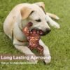 PETSTA Indestructible Dog Toys for Aggressive Chewers, Extreme Tough Toys for Large Dogs, Real Beef Flavored, Dog Bone for Medium/Large Dogs Breed, Gifts for Dogs - Image 2