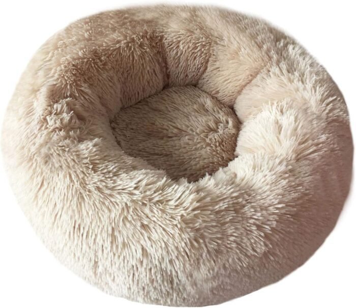 BODISEINT Modern Soft Plush Round Pet Bed for Cats or Small Dogs, Mini Medium Sized Dog Cat Bed Self Warming Autumn Winter Indoor Snooze Sleeping Cozy Kitty Teddy Kennel (20'' D x 8'' H, Champagne)