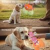 5 Pack Dog Squeaky Toys Bulk Set,Puppy Teething Chew Pet Dog Toy for Large Medium Small Dogs,Soft Plush Stuffed Crinkle Sound Interactive Fun for Puppy - Image 3