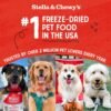 Stella & Chewy's Freeze Dried Raw Dinner Patties – Grain Free Dog Food, Protein Rich Duck Duck Goose Recipe – 25 oz Bag