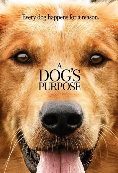 A Dog's Purpose [DVD]