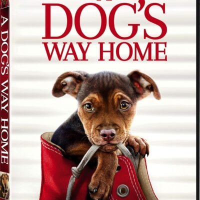 A Dog's Way Home [DVD]
