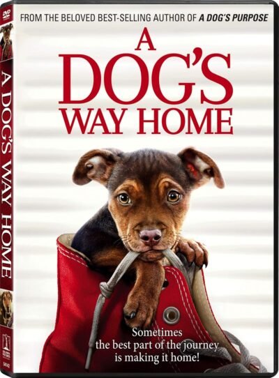 A Dog's Way Home [DVD]