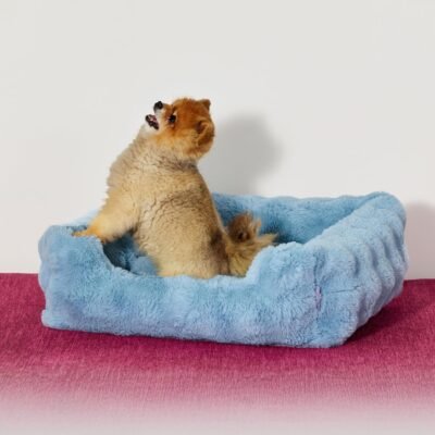 Lesure Orthopedic Dog Beds for Small Dogs - Rectangle Bolster Calming Pet Sofa,Fluffy Plush Bubble Puppy Bed with Removable Washable Cover and Nonskid Bottom,25x21x7inches