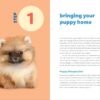 Puppy Training in 7 Easy Steps: Everything You Need to Know to Raise the Perfect Dog - Image 4