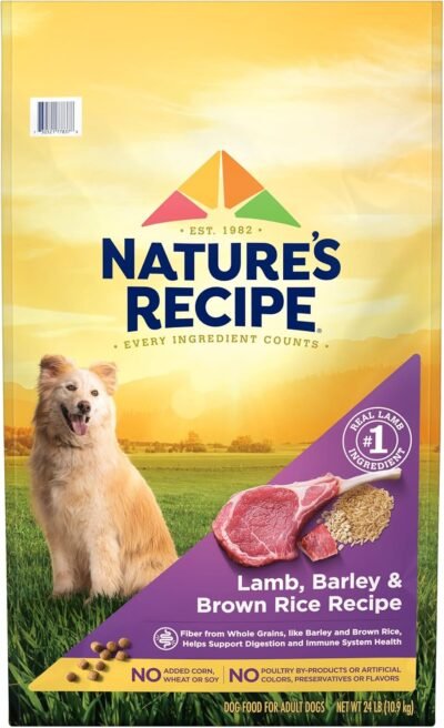 Nature′s Recipe Lamb, Barley & Brown Rice Recipe Dry Dog Food, 24 lb. Bag