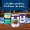 Blue Buffalo Blue's Stew Grain-Free Wet Dog Food, Made with Natural Ingredients, Hearty Beef Stew, 12.5-oz. Cans (12 Count) - Image 9