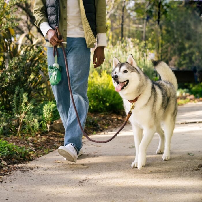 Earth Rated Dog Poop Bag Holder with Bags, Durable and Guaranteed Leakproof, Lavender Scented, 1 Dispenser and 900 Count