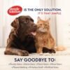 Simple Solution Extreme Pet Stain and Odor Eliminator Spray, Enzymatic Cleaner With 3X Pro-Bacteria Cleaning Power for Dogs & Cats, Strong Urine, Pee and Poop Smell Remover for Carpets & Floors, 32 oz - Image 4