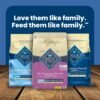 Blue Buffalo Life Protection Formula Adult Small Breed Dry Dog Food, Supports High Energy Needs, Made with Natural Ingredients, Chicken & Brown Rice Recipe, 5-lb. Bag - Image 9