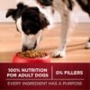 Purina ONE Natural High Protein Dry Dog Food Dry True Instinct with Real Beef and Salmon With Bone Broth and Added Vitamins, Minerals and Nutrients - 15 lb. Bag - Image 8