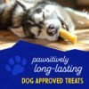 Himalayan Dog Chew Original Yak Cheese Dog Chews, 100% Natural, Long Lasting, Gluten Free, Healthy & Safe Dog Treats, Lactose & Grain Free, Protein Rich, Mixed Sizes, Dogs 65 Lbs & Smaller, 9.9 oz - Image 4