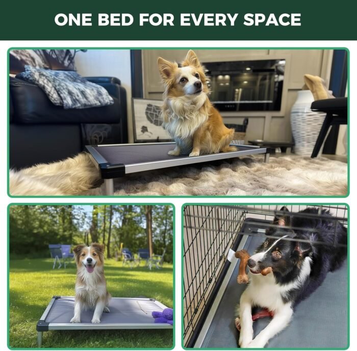 FXW TitanNest Padded Dog Bed for Crate, Chew-Proof Elevated Cot for Indoor/Outdoor/Camping Use, Durable & Washable Pet Bed for Extra Large Dogs, 56-Inch, Grey