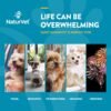 NaturVet Quiet Moments Calming Aid Dog Supplement – Helps Promote Relaxation, Reduce Stress, Storm Anxiety, Fireworks, Motion Sickness for Dogs – Tasty Pet Soft Chews with Melatonin – 70 Ct. - Image 4