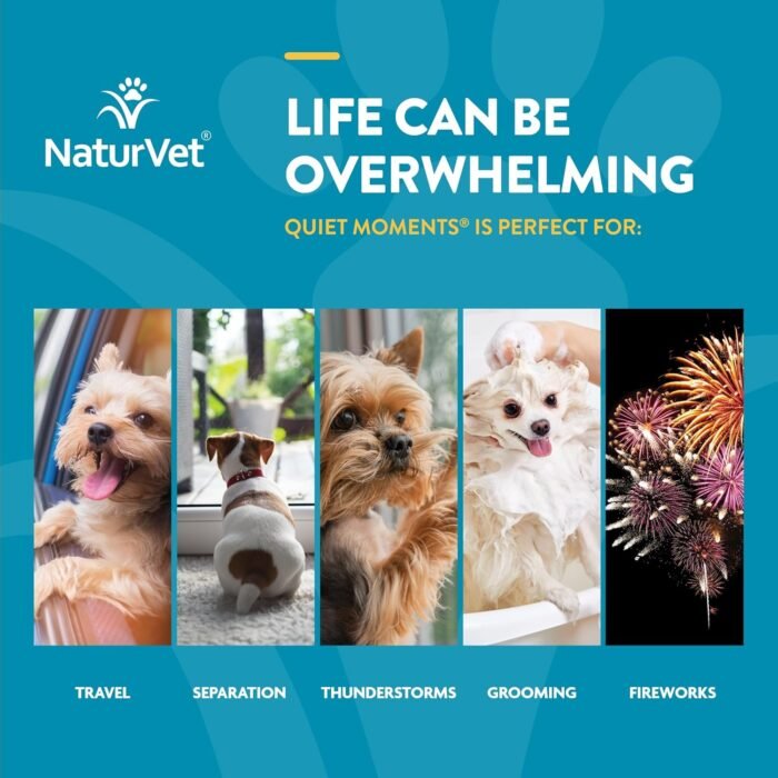 NaturVet Quiet Moments Calming Aid Dog Supplement – Helps Promote Relaxation, Reduce Stress, Storm Anxiety, Fireworks, Motion Sickness for Dogs – Tasty Pet Soft Chews with Melatonin – 70 Ct.