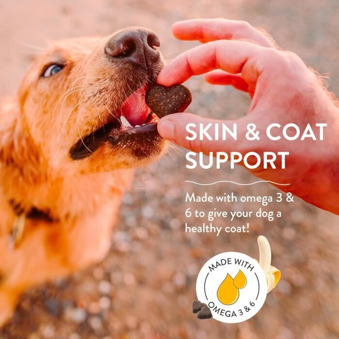 Shameless Pets Soft-Baked Dog Treats, Bananas for Bacon - Natural & Healthy Dog Chews for Skin & Coat Support with Omega 3 & 6 - Dog Biscuits Baked & Made in USA, Free from Grain, Corn & Soy - 1-Pack